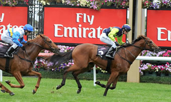 Absolute Faith Flemington 18 April 2009 1400m