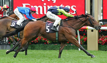 Amerryking Flemington 13 December 2008 1200m