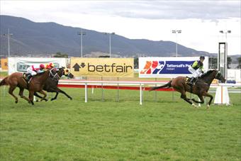 Methuselah Hobart 5 February 2012 2200m